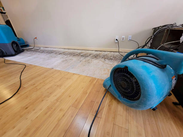 Professional Water Damage Repair technician working in Emlenton, PA